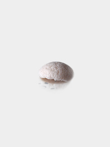 Products: Tsuki – FACE Sponge – Studio 31