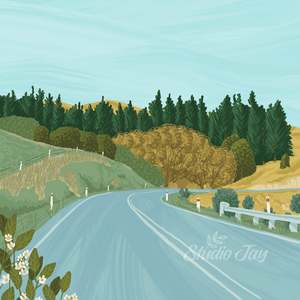 Weld Pass Curve | PRINT