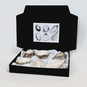 Dipping Shell Set (6) - White