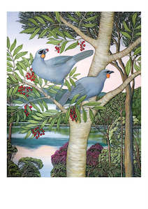 Clare Reilly - Kokako Feasting In The Upper Harbour - Card