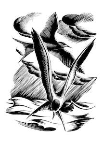 E. Mervyn Taylor - Terns - Card