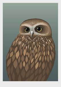 Art Books Wall Art: Morepork dusk art print - A3 Print