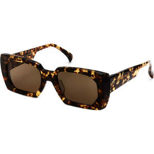 Am Eyewear 1: Dom - Tort