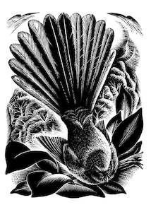 E Mervyn Taylor: E. Mervyn Taylor - Piwakawaka - Card