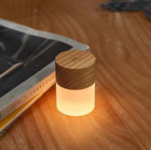 Gingko - White Ash - Lemelia LED Light