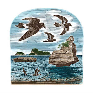 Tanya Wolfkamp: Wolfkamp & Stone - NZ Storm Petrels - Card