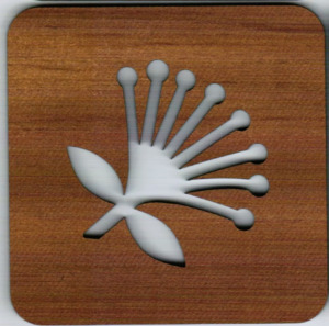 Square Coaster - Pohu