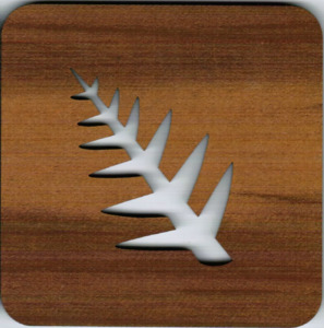 Abstract Design: Square Coaster - Fern