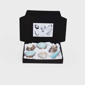 Dipping shell Set (6) Aqua