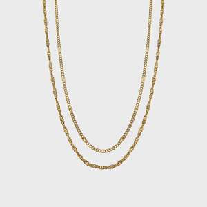 Jewellery Rings Bracelets Earrings Necklace: Duo Necklace (Gold)