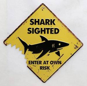 Garden Art: Shark Sighted