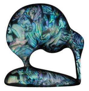 Standing Paua Kiwi