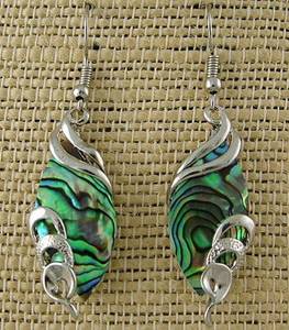 Paua Water Drop Earrings
