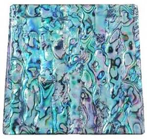 Giftware: Paua Coaster