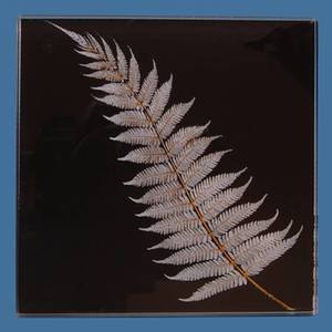 Silver Fern Glass Coasters