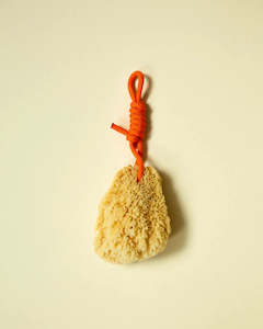 Natural Sea Sponge / Orange