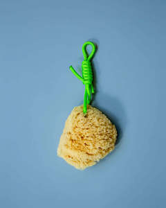 Natural Sea Sponge / Green