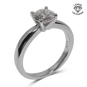 Uncategorized: Rosina