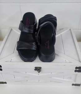 Shoes: Isabella | Darwin Shoe - Black