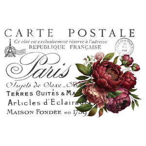 White Cloud Transfer - Carte Postale 6
