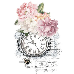 White Cloud Transfer - Bee And Script