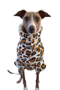 STYLECOM.NZ ~ ANIMAL PRINT + SHERPA TOP • SIZE MEDIUM