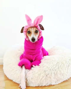 STYLECOM.NZ ~ Plush Hot Pink Pajamas • Size S