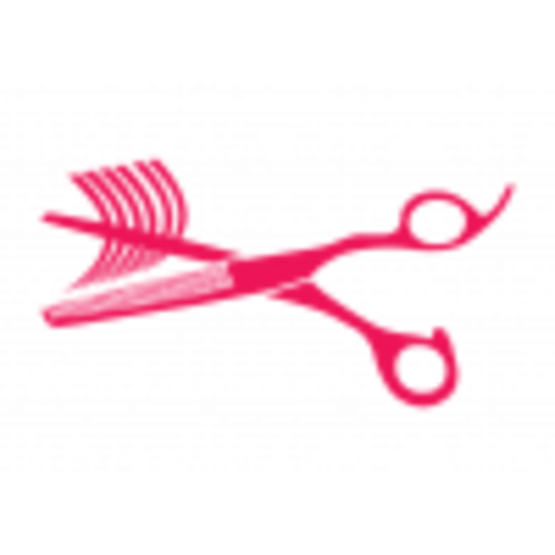 Hairdressing Thinning Scissors StyleHQ NZ