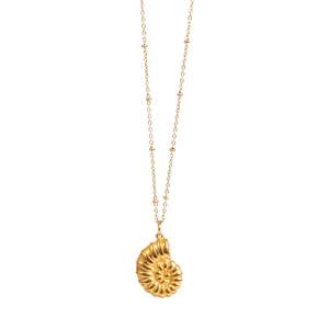 A C Oslo: Pure Steel 14K Snail Shell necklace
