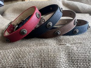 Products: Dog Collar with Brass Metal Accessory with Black Gem - Styley Pets
