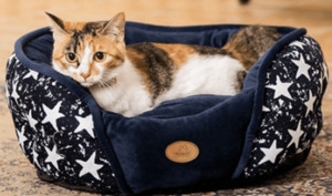 Products: Blue Star Bed - Styley Pets