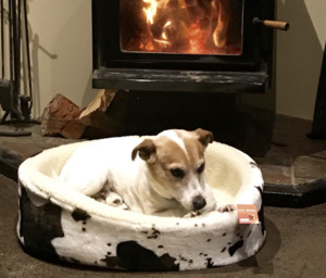 Pet Bed - Styley Pets