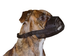 Dog Muzzle - Styley Pets