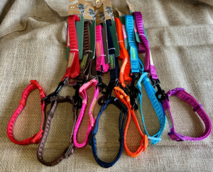 Collar & Lead Set - Styley Pets