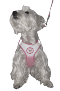Mesh Harness & Lead Set - Styley Pets