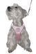 Mesh Harness & Lead Set - Styley Pets