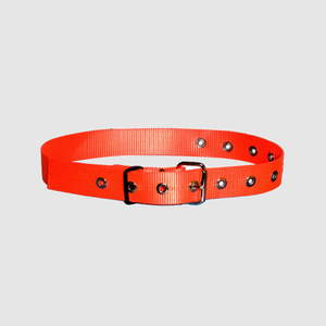 Products: Web Belt With Metal Buckle & Eyelets