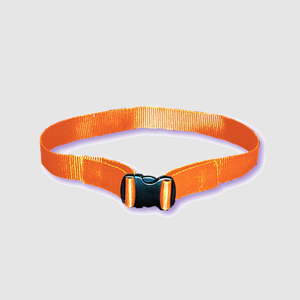Products: Web Belt With Plastic Buckle