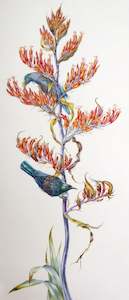 New Zealand Flora Fauna: Phormium tenax Tui feeding on the Flax (detail)