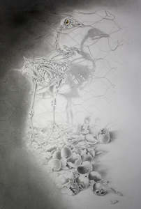 Botanical Black White Drawings: Battery Driven