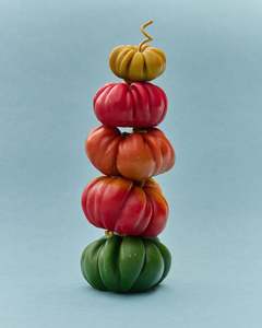 Accessories: Heirloom Tomato Large in Red