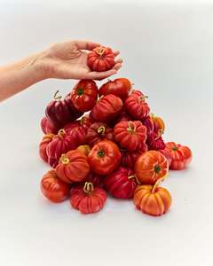 Accessories: Heirloom Tomato Small in Orange