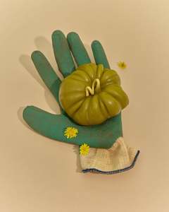 Heirloom Tomato Large in Green