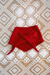 Daisy Scarf in Tamarillo