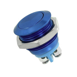 Products: 16mm BLUE Metal AV Switch (Momentary) - Sulphur City Foundry Store, NZ