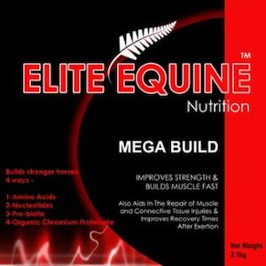 Elite Equine: Elite Equine Mega Build