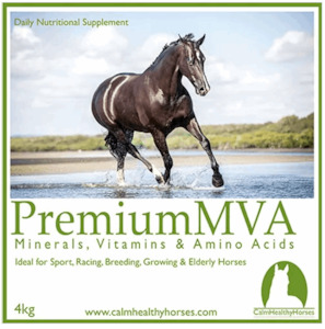 Calm Healthy Horses: Calm Healthy Horses Premium MVA