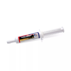 Equine America: Equine America Xtra Boost Paste