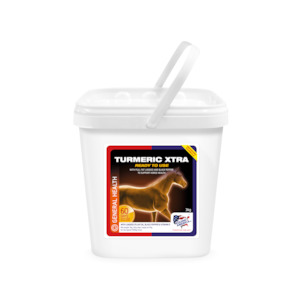 Equine America Turmeric Xtra Powder