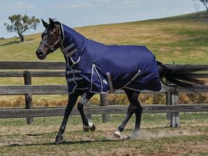 Rug Sale: WeatherBeeta ComFiTec  Essential Lite Combo